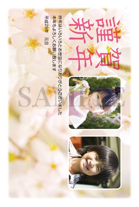 桜の写真フレーム年賀状 17 とり年 写真フレーム年賀状
