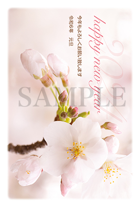 hc03 桜の写真年賀状2024