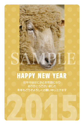 hb01 アップ！羊写真入り年賀状