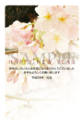 hc02 桜の写真年賀状