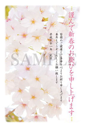 桜の写真年賀状2019