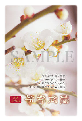 梅の花の写真年賀状2019