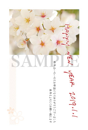 桜の写真年賀状2019 その２
