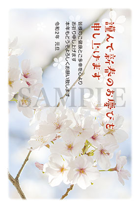 桜の写真年賀状2020