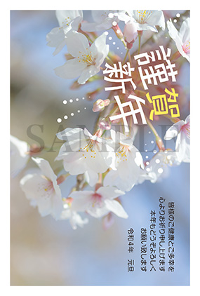 hc02 桜の写真年賀状2022