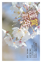桜の写真年賀状2022